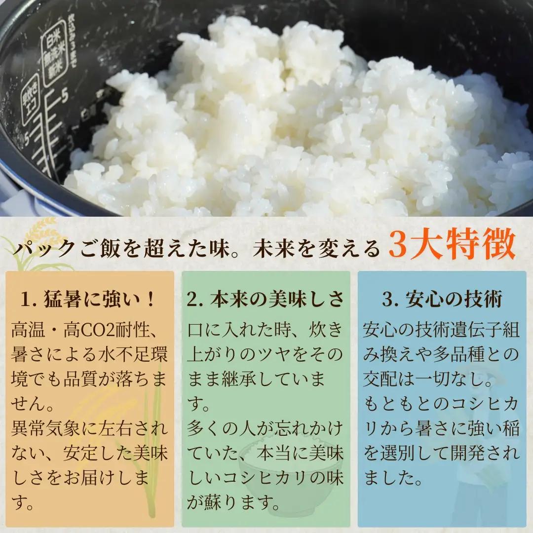 新大コシヒカリ パックご飯 180g×20個 たかの | パックご飯