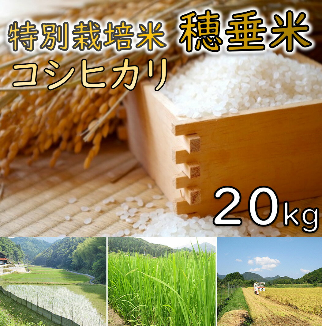 【ふるさと納税】米 特別栽培米 穂垂米 コシヒカリ　20kg こしひかり (1401)