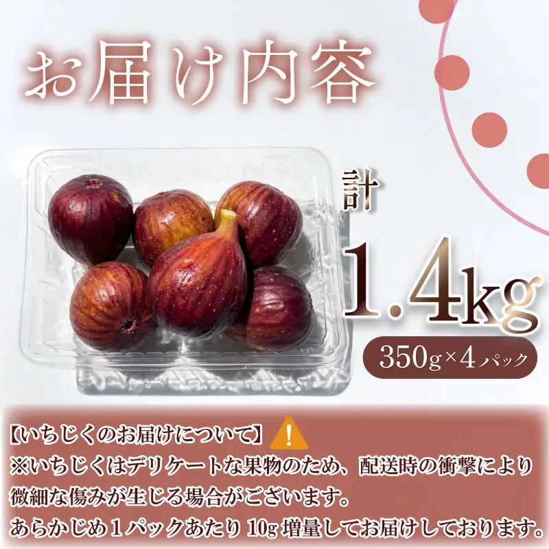 いちじく 1.4kg もぐはぐ農園の完熟もぎたて 4パック 新鮮  静岡 牧之原 丸新柴本製茶 