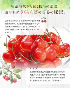 【令和7年産先行予約】 さくらんぼ 「佐藤錦」 約1kg (約500g×2パック 秀 L以上) バラ詰め 《令和7年6月中旬～発送》 『マルタニ農園』 小分け サクランボ 山形県 南陽市 [1217]