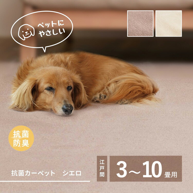【ふるさと納税】＼選べるサイズ・カラー／ ペットにもやさしい 抗菌。防臭カーペット シエロ 1枚 600094