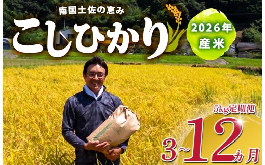 
                  【選べる回数】 R8 新米 コシヒカリ 5kg 定期便 選べる 3回 6回 12回 8月下旬から発送 新米 産地直送 高知県産 白米 精米 こしひかり 米 常温 配送 ブランド米 国産 はくまい 白 玄米 米 こめ おこめ 早場米 産地 直送 にんき ブランド 人気 おすすめ 魚 と 米 肉 と 米 天然 恵み 心 一人暮らし 家族用 家族向け 送料無料 送料 高知県 須崎市 SI004-ALL
                