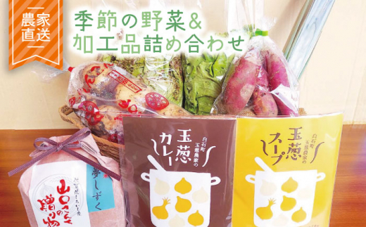 
【農家直送！】季節のお野菜＆加工品の詰め合わせセット【AGUMIGroup（農業女子グループ）】 [IAT001]
