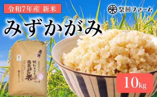 【数量限定 先行予約 令和7年産】 環境こだわり栽培 新米 みずかがみ 玄米 10kg 滋賀県認証 魚のゆりかご水田米 10 令和7年 7年 10月 順次発送 滋賀 彦根