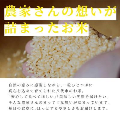 ふるさと納税 八代市 【先行予約】《令和7年産》くまさんの輝き 5kg×1袋 計5kg 熊本県産 |  | 01
