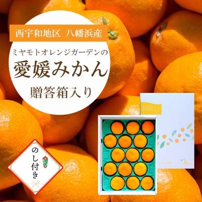 【2025年11月より順次発送】八幡浜産 愛媛みかん【贈答用】15個入り のし付き【C25−167】【1536565】