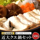 【ふるさと納税】近大くえ鍋セット ( 500g ）こだわりだしぽん酢付き【選べる配送時期】 | 取り寄せ お取り寄せ グルメ お取り寄せグルメ ご当地 ご当地グルメ 海鮮 魚介 くえ クエ 鍋 なべ 切り身 アラ 特産品 海の幸 クエ鍋セット 高級魚 あら 魚 白浜町