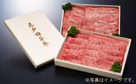 【黒毛和牛A4・B4等級以上】三戸田子牛豪華セット 合計3kg