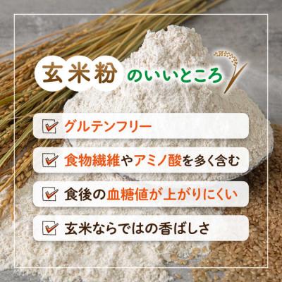 ふるさと納税 糸島市 伊都 米粉 玄米 250g フルタク グルテンフリー 米 [AHN004] |  | 02