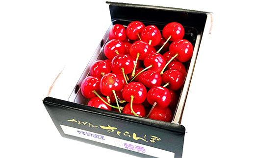 【令和8年産】 さくらんぼ 「やまがた紅王」 約500g (特秀 2L
