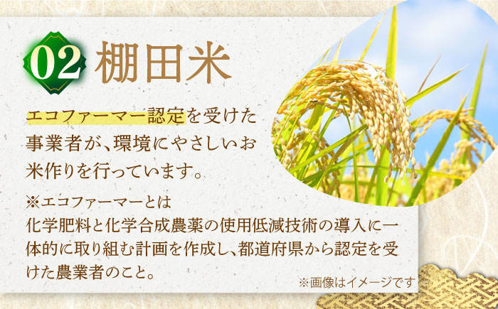 【全12回定期便】【着日指定 可能】【違いを楽しむ】こだわりの米食べ比べセット 約5kg（2.5kg×2種） 平戸市 / ひらど新鮮市場 [KAB242]