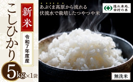 【新米】 ＼ 先行予約開始／ 【無洗米】令和7年産 田村市産 コシヒカリ 5kg 10月下旬発送 米 精米 白米 こしひかり こめ コメ 5キロ 福島県産米 人気 ランキング おすすめ 初物 ギフト 福島県 田村市 光農園