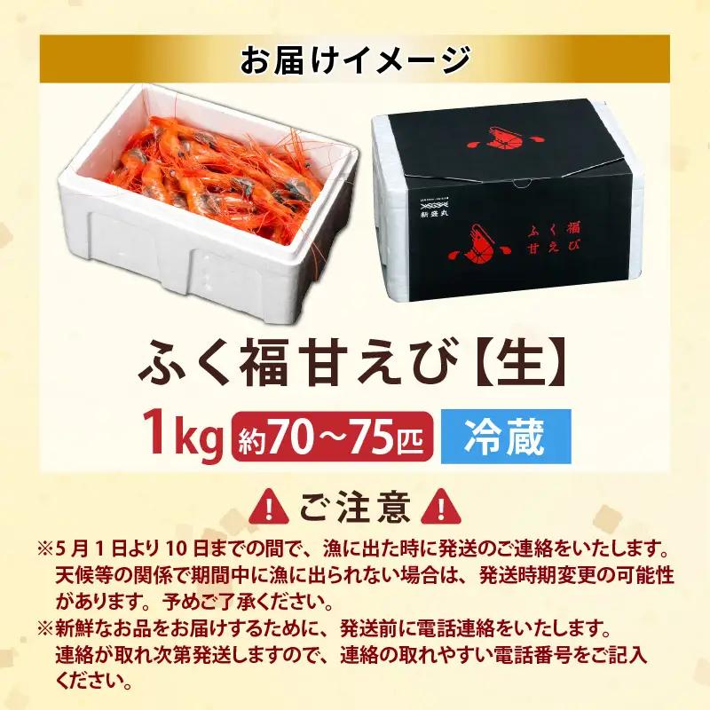 先行予約 新鮮 ふく福甘えび（生）1kg 2026年9月上旬以降順次発送予定 冷蔵発送 エビ 海老 [B-13503]