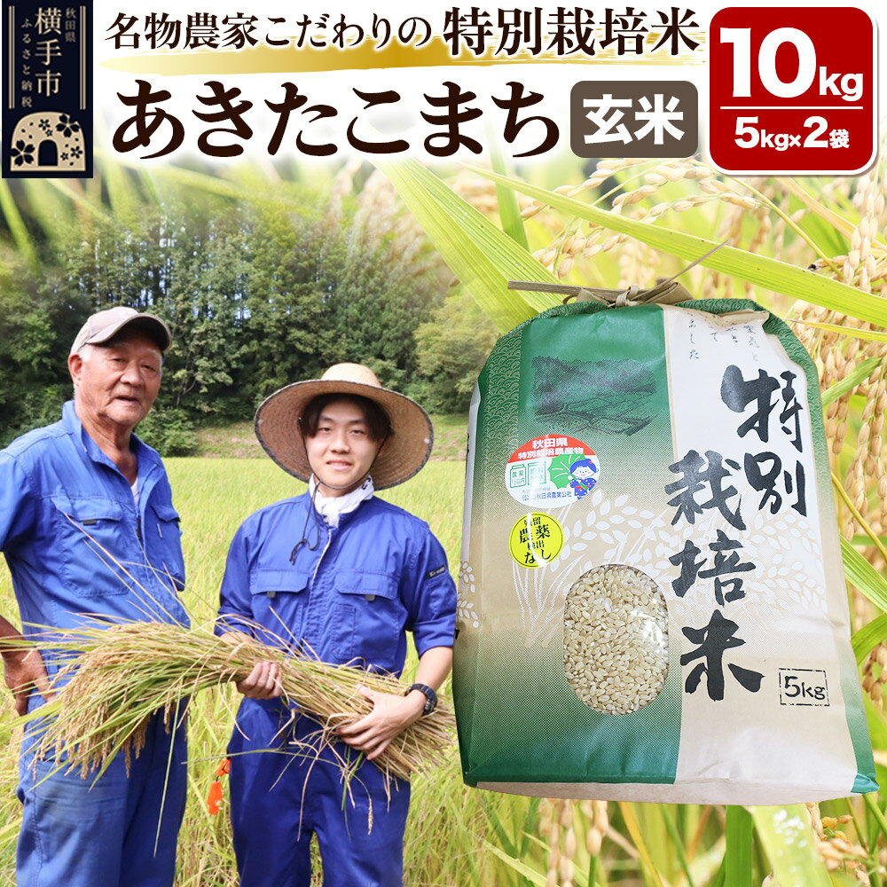【ふるさと納税】【玄米】【令和6年産】名物農家こだわりの特別栽培米 あきたこまち 10kg（5kg×2袋）