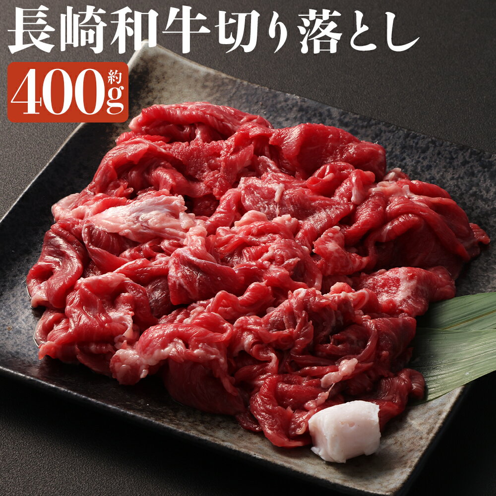 【ふるさと納税】長崎和牛 切り落とし 約400g（カタ・モモ・バラ・ロース・スネのいずれか） 和牛 牛肉 お肉 赤身 冷凍 長崎県 長崎市 送料無料