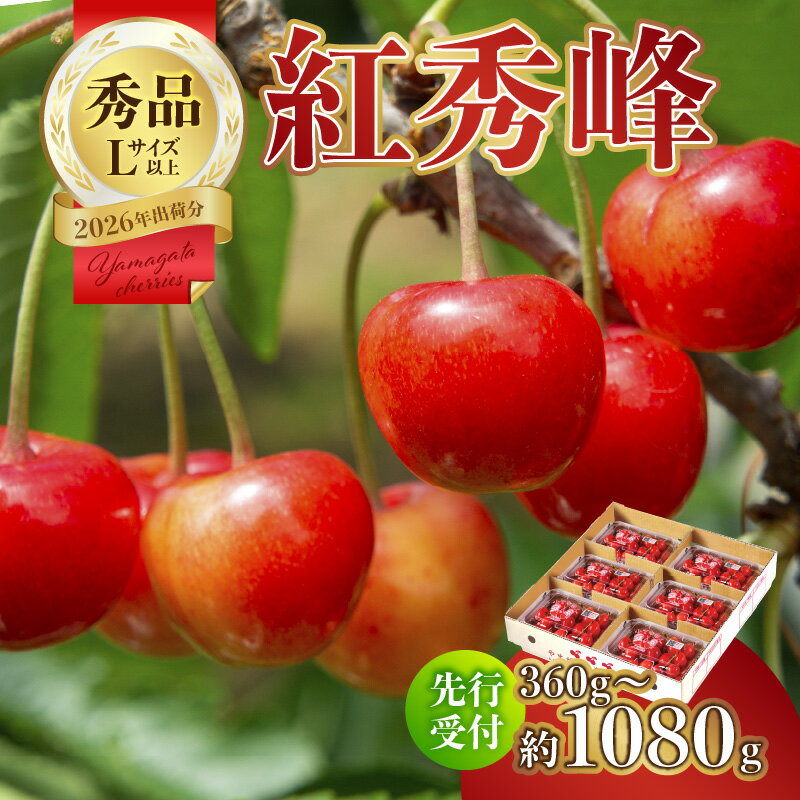【ふるさと納税】063-006【2026年度先行受付】★さくらんぼ紅秀峰★秀品 選べる内容量(360g～1080g) 【6月より順次発送予定】 さくらんぼ 大粒 紅秀峰 フルーツ 果物 山形 濃厚 紅色 果汁 甘い 人気 大江町 ふるさと納税 秀品