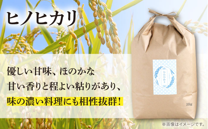 【南島原市産ヒノヒカリ】10kg / ひのひかり 米 お米 こめ コメ 精米 / 南島原市 / 林田米穀店 [SCO001]