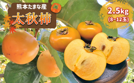 
熊本たまな産 「太秋柿」 8～12玉
