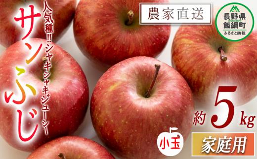 りんご サンふじ ( 小玉 ) 家庭用 5kg 沖縄県への配送不可 2025年12月中旬頃から2025年12月下旬まで順次発送予定 令和7度収穫分 静谷りんご園 信州の環境にやさしい農産物認証 減農薬栽培 長野県 飯綱町 [1289]