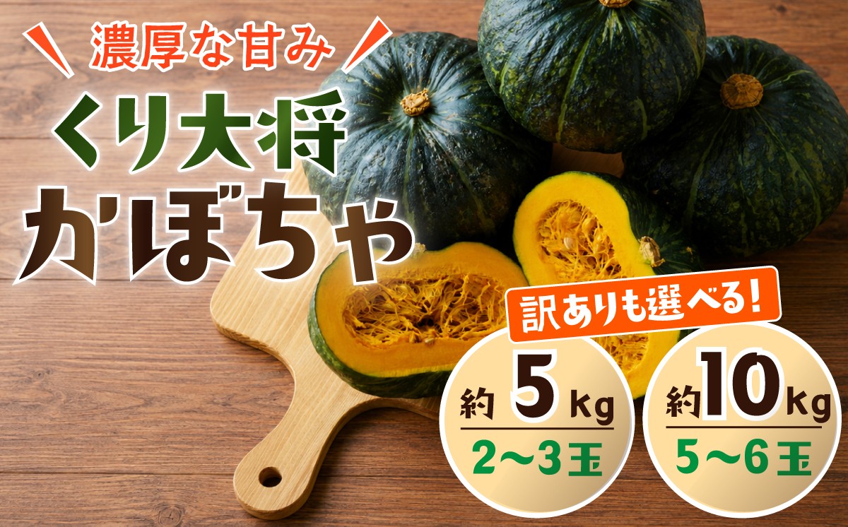 
                  訳あり かぼちゃ くり大将 《訳あり/正規品・容量が選べる！》訳あり 茨城県産 くり大将 約5kg (2玉〜3玉) / 約10kg (5玉〜6玉) 【茨城県 下妻市産 かぼちゃ カボチャ 南瓜 くり大将 くりたいしょう 採れたて 旬野菜 季節の野菜 甘い おすすめ】
                