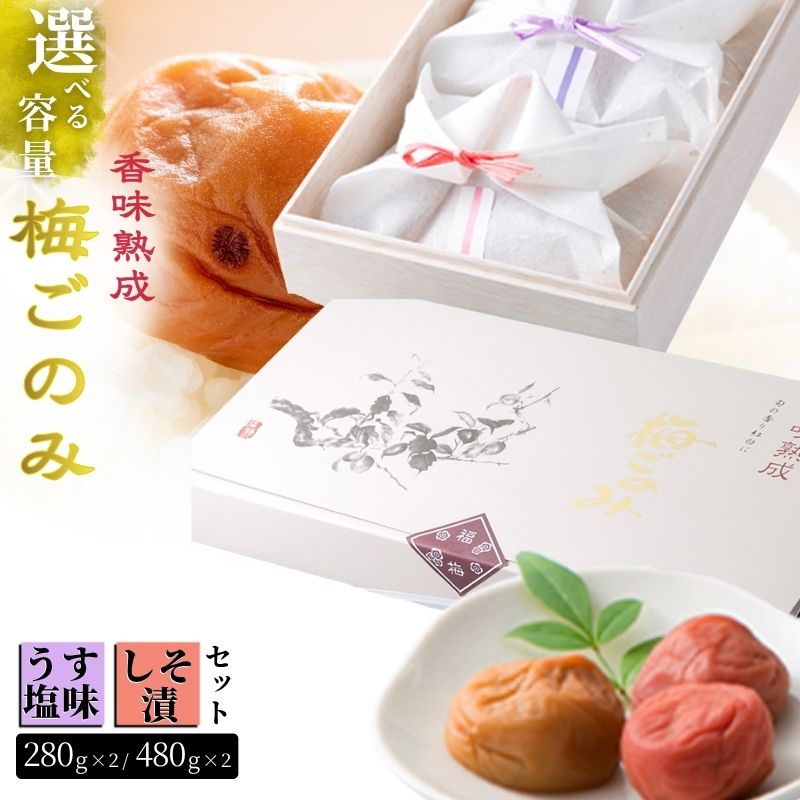 【ふるさと納税】【食べ比べ 梅ごのみ】うす塩味&しそ漬 梅ぼし 選べる容量(600g or 960g)セット[高島屋選定品］ 梅干