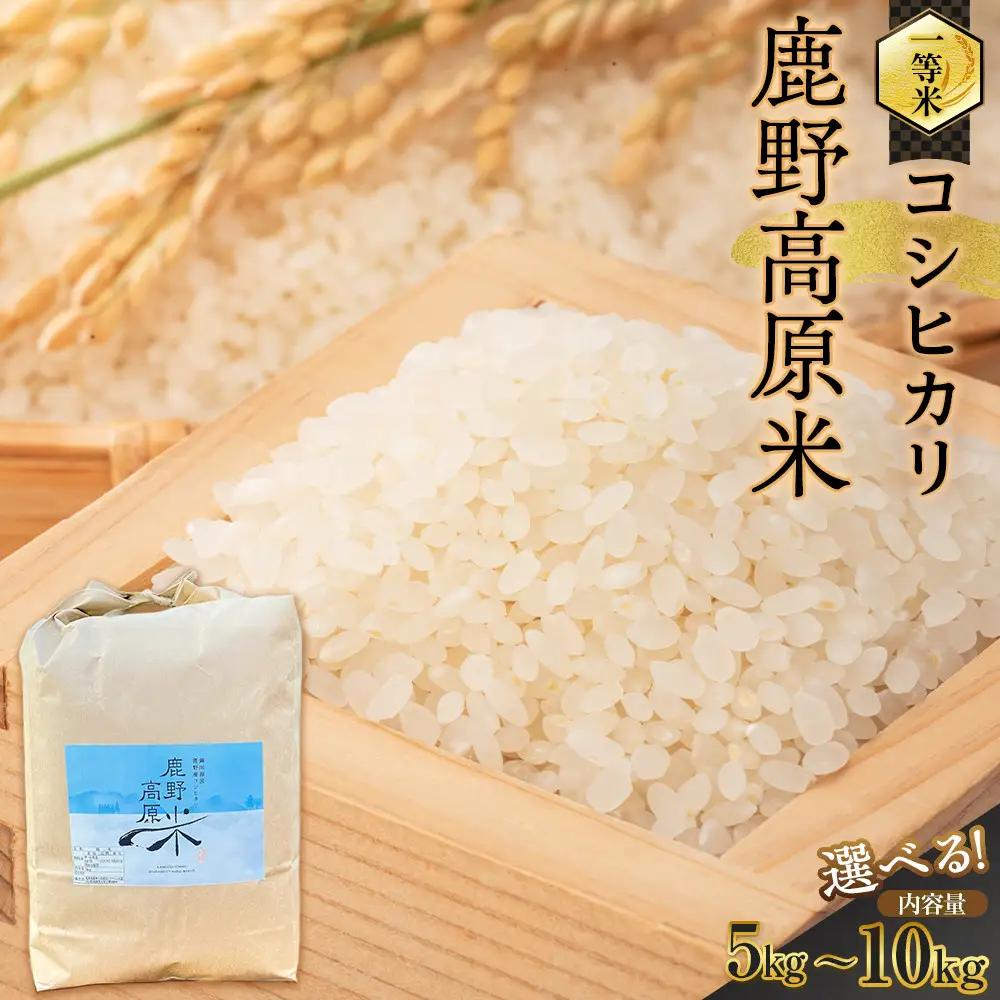 【先行予約】令和8年産 コシヒカリ 5 kg 鹿野高原米 精米 5日以内発送