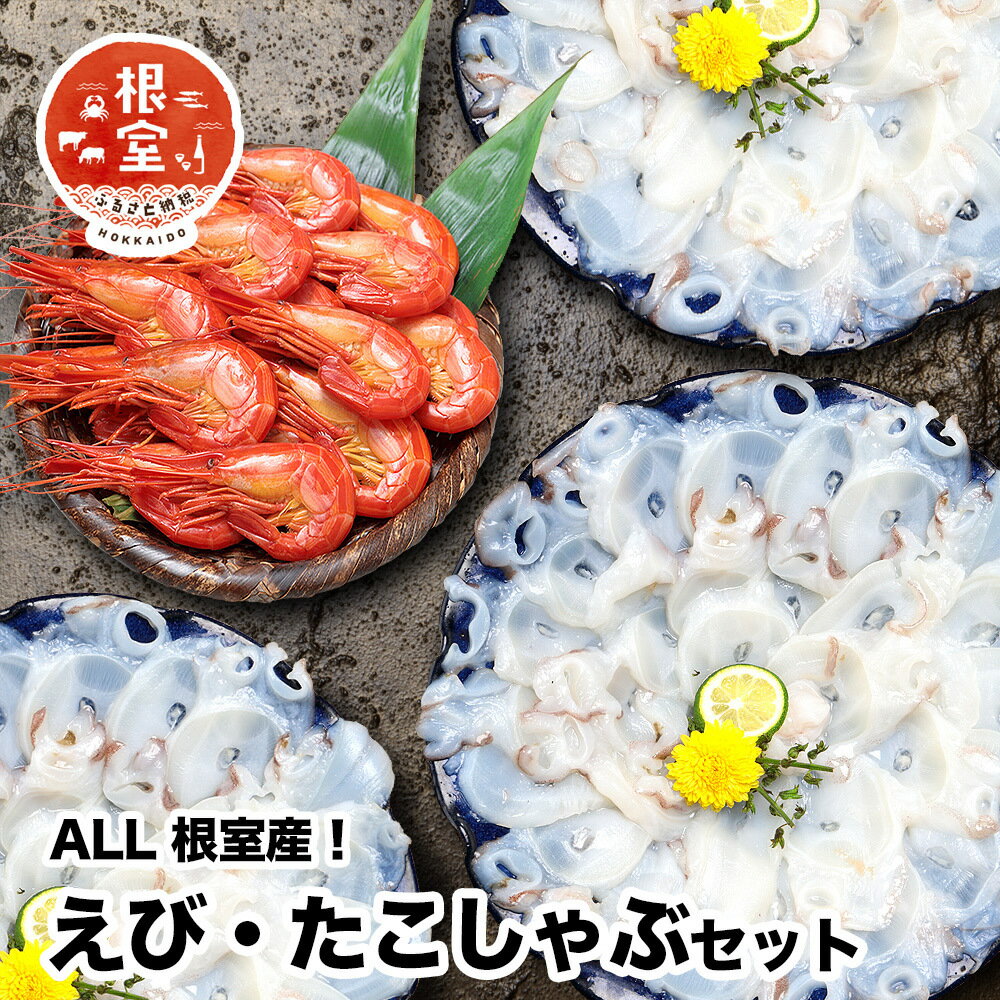 【ふるさと納税】 [北海道根室産]シマエビ400g・タコしゃぶ250g×4Pセット B-24019