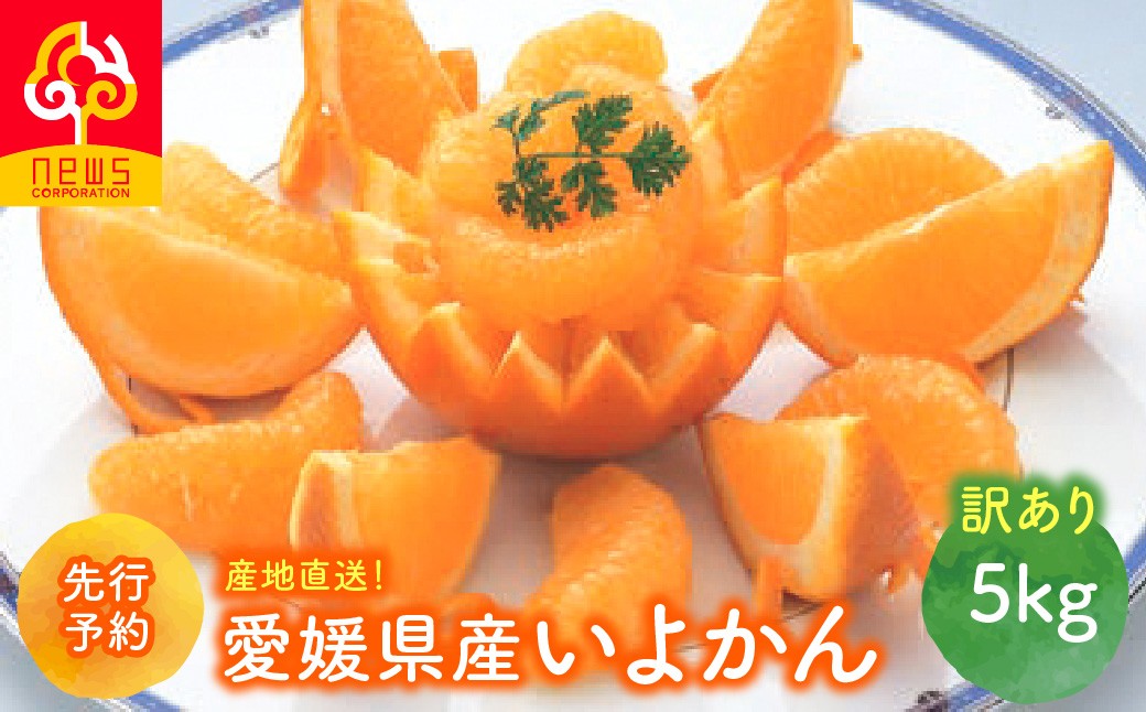 
                  【先行予約】【訳あり】産地直送！愛媛県産いよかん 5kg（2027年1月中旬から発送予定）【ふるさと納税 人気 おすすめ ランキング 柑橘 みかん ミカン フルーツ 伊予柑 mikan 果物 オレンジ 産地直送 ニュウズ 愛媛県産 訳あり 愛媛県 伊方町 送料無料】IKTF030
                