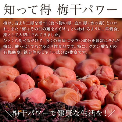 AB7074n_《紀州南高梅》はちみつ梅干し　７００ｇ〔化粧箱入