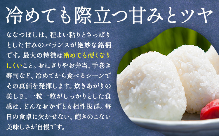 米 令和8年産 ななつぼし 10kg 若木ファーム 《11月上旬以降順次出荷》北海道 本別町 米 お米 白米 精米 2026年 予約 北海道産 十勝 本別町産 特A 産地直送
