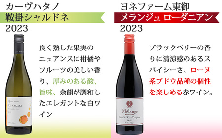 東御ワイン 赤白ワイン バラエティ6本セット｜ヴィラデスト「ソーヴィニョンブラン」、のらのらふぁーむ「ブラッククイーン」、カーヴハタノ「KURAKAKE CHARDONNAY」、ヨネファーム東御「メラ