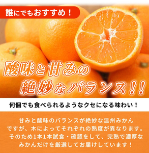 有田の小粒みかん 約5kg (S～3Sサイズ混合)【2026年11月下旬頃～2027年1月下旬頃に順次発送予定】【先行予約】【UT134】【uot845】