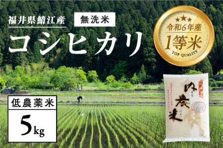 【令和7年産 新米！】【2025年9月下旬以降 順次発送予定】福井県産 内農米 コシヒカリ 無洗米 5kg