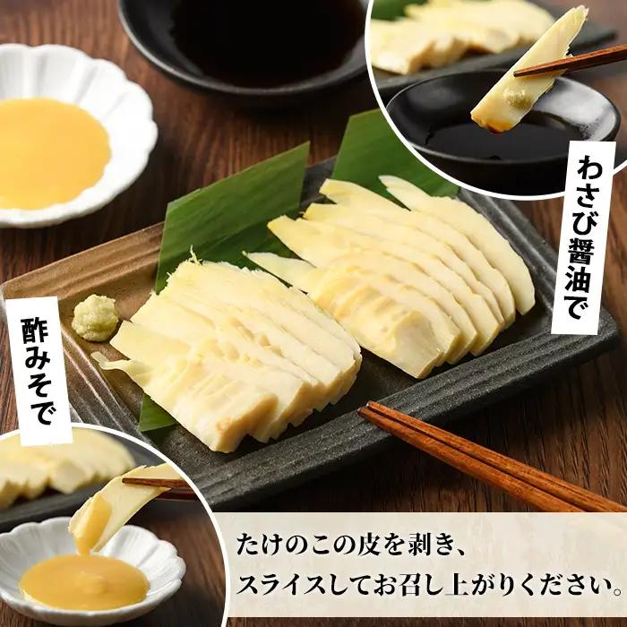 ＜先行予約受付中！2027年3月上旬以降順次発送予定＞ 【平日着】お刺身たけのこ(計1kg) 国産 鹿児島県産 朝採れ タケノコ 竹の子 筍 真空パック 野菜 春 旬 【上野食品】akn008-06-