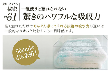 （今治タオルブランド認定品）ASiTA BALANCE シリーズ フェイスタオル２枚セット グレー【I002170FT2GY】