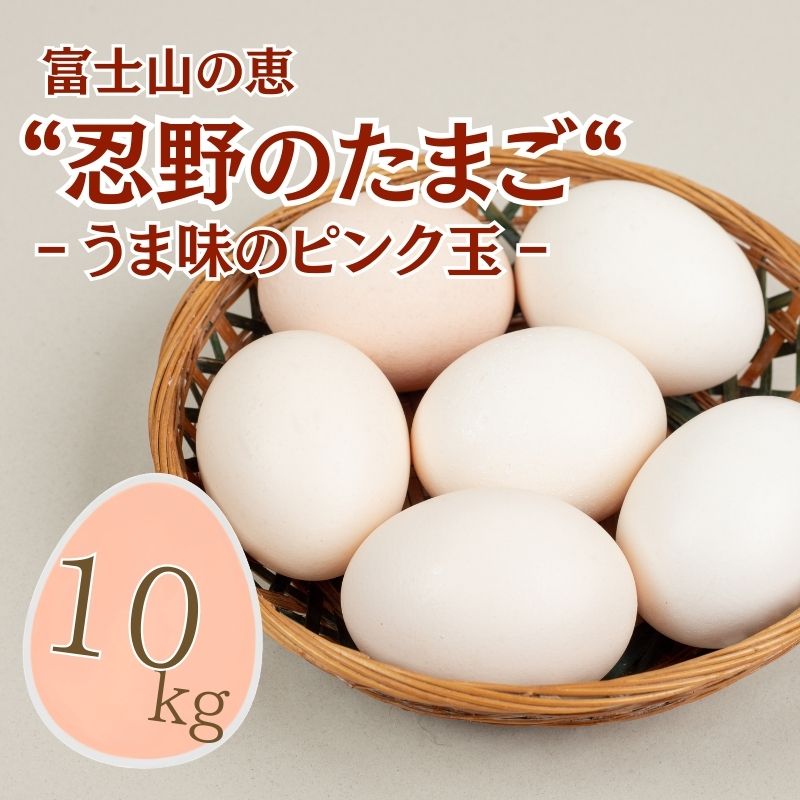 【ふるさと納税】富士山の恵“忍野のたまご“‐うま味のピンク玉‐10kg　|| 山梨県産 新鮮 たまご たっぷり 卵 玉子 送料無料 送料込 家庭用 鶏卵 生卵 コク うまみ 濃厚 美味しい 自然豊か のどか 白身 黄身 プリン 安心 元気 栄養満点 安全 こだわり 贈答 贈り物 旨い