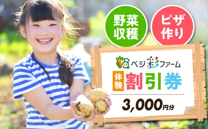 
            ベジ彩ファーム　割引チケット 3,000円分 体験 国内 野菜収穫 ピザづくり 親子体験 大阪府高槻市/ベジ彩ファーム [AOEJ001]
          