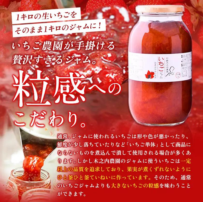手作り いちご ジャム ブルーベリー ジャム 1kg×2本|木之内農園