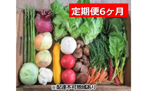 旬の野菜・定期便（6か月）【配達不可：北海道・沖縄・離島】 セット 詰合せ 6ヶ月 6回