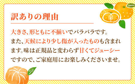 【先行予約】【訳あり】家庭用 みかん 約5kg 詰め合わせ 柑橘【合同会社 社方園】[ZBZ021]
