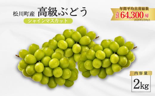 ぶどう シャインマスカット 約2kg ／2026年9月上旬頃から10月頃配送［TK06］//長野県 南信州 葡萄 種なし シャイン マスカット 高品質 贈答 ギフト 高地栽培 2kg