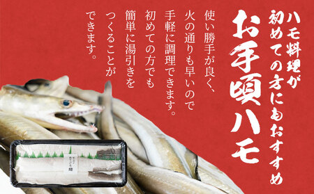 ハモ  300g ハモ