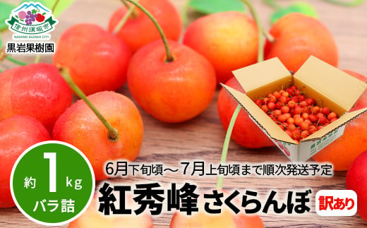 [No.5657-2556]紅秀峰 さくらんぼ 訳あり 約1kg（バラ詰）《黒岩果樹園》■2025年発送■※6月下旬頃～7月上旬頃まで順次発送予定