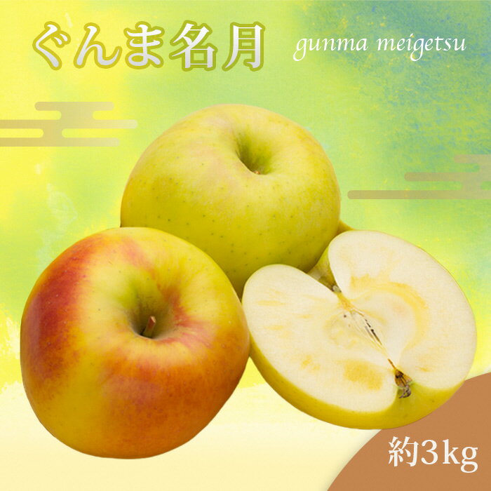 【ふるさと納税】 ＜ 2025年 発送＞山形のりんご（ぐんま名月）約3kg【11月発送】りんご ぐんま名月 3kg 山形県 山形 令和7年度 R7 ふるさと 人気 ランキング フルーツ 果物 _H209(R7)