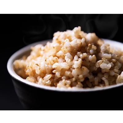 ふるさと納税 南魚沼市 【玄米】南魚沼産こしひかり5kg(自然微生物農法・栽培期間化学肥料不使用) |  | 02