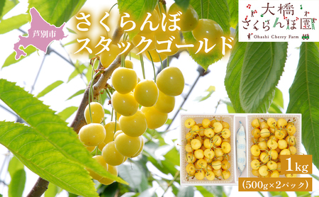 【 先行受付 】さくらんぼ スタックゴールド1kg（500g×2パック）サクランボ 黄 大橋 芦別 希少 果物類 フルーツ チェリー 