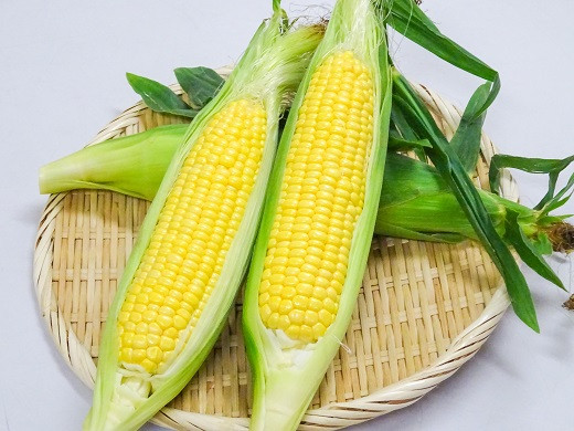 
                  鮮度抜群！朝採り とうもろこし 味来 6本(3Lサイズ) レンジで簡単調理&鮮度保持が出来る袋付き　H132-030
                