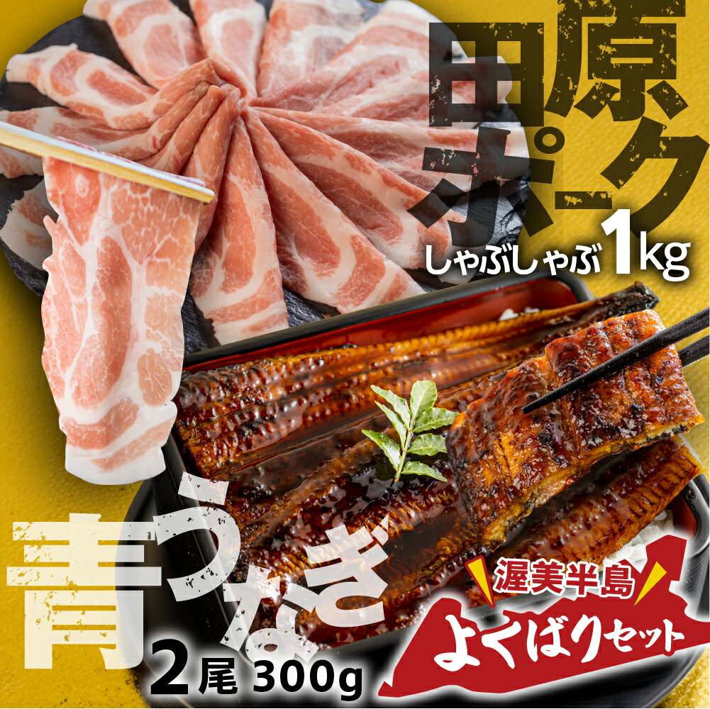 【ふるさと納税】幻の青うなぎ ＆ 田原ポーク セット うなぎ 訳あり 蒲焼 2尾 国産 豚肉 食べ比べ 500g × 2 計 1kg ウナギ 鰻 蒲焼き 最高級 長蒲焼 特大サイズ 楽天限定 土用丑の日 丑の日 簡単調理 惣菜 小分け 個包装 どうまい 定期便 (2回)