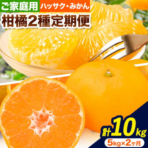 【ふるさと納税】【発送月固定定期便】農家直送！ご家庭用 2種の柑橘定期便 【訳あり】全2回 約 5kg 合計10kg 笑いの里のTommyファーム《12月上旬-2026年3月末頃出荷》和歌山県 日高川町 みかん 定期便 早生 柑橘 フルーツ 果物 ミカン はっさく ハッサク 八朔 産地直送