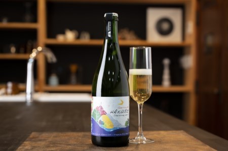 岡山ワインバレー 白ワイン・スパークリング 2本セット 荒戸山ワイナリー醸造 東京ワイナリー醸造 750ml